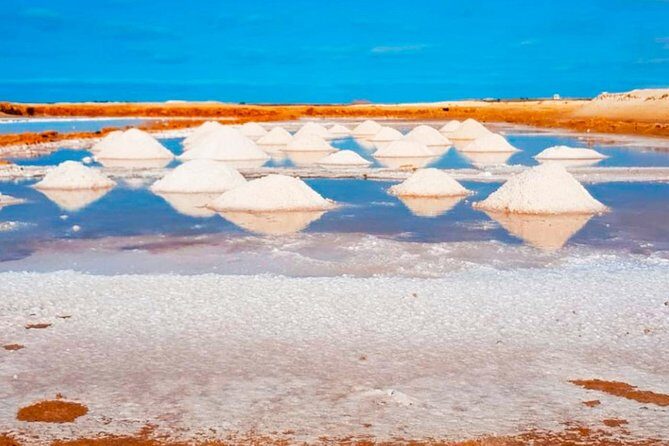 Sal Island: Guided Full-Day Highlights Tour with Lunch - A Closer Look at the Sal Highlights