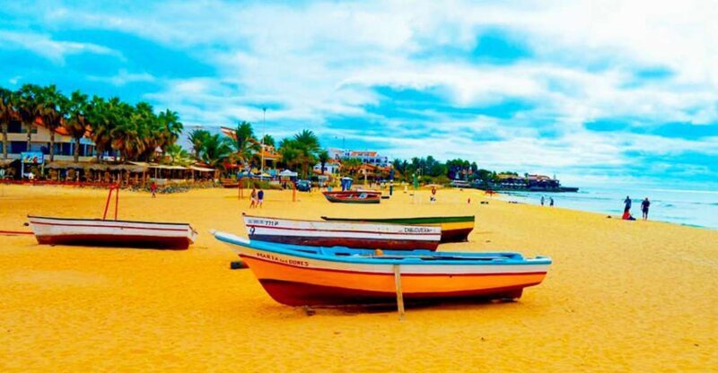Sal Island: Guided Full-Day Highlights Tour with Lunch - An In-Depth Look at the Sal Highlights Tour