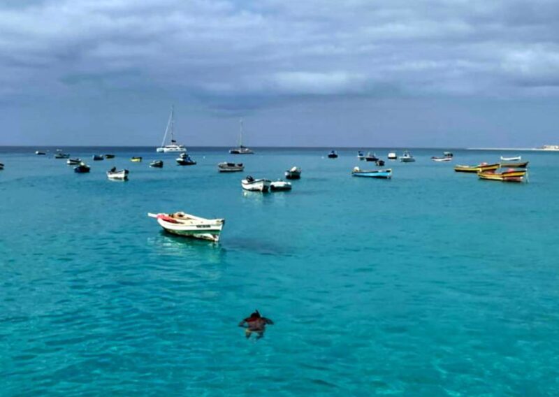 Sal island: Santa Maria city tour, street art and tapas - Key Points