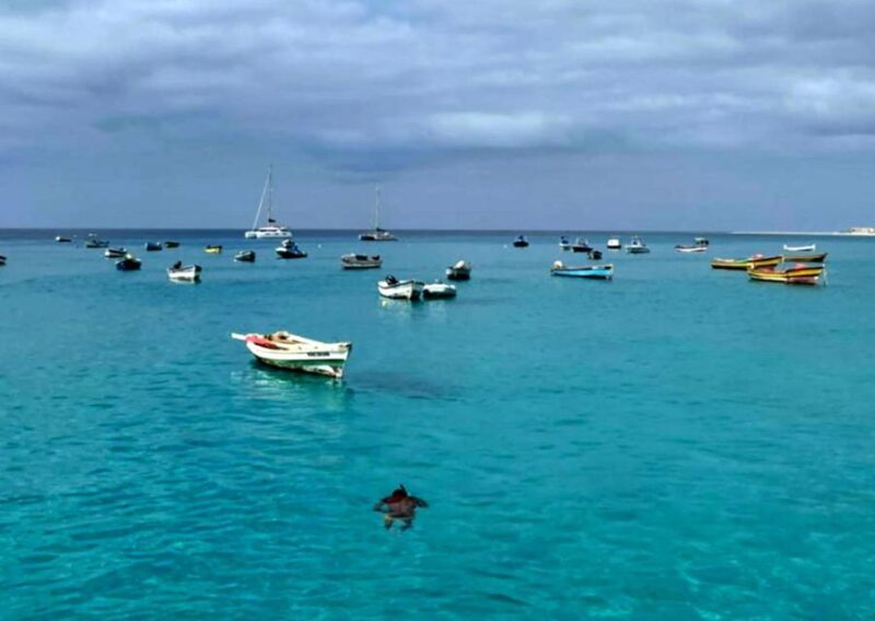 Sal island: Secrets of a Native Guide Day trip with Lunch - Introduction: An Inviting Full-Day Tour of Sal Island