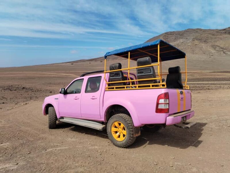 Sal: Island tour with offroad touch and creative pictures - Key Points