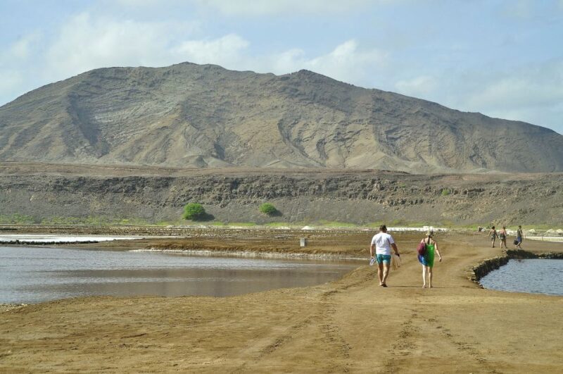 Sal: Lemon Shark Bay and Pedra de Lume Salt Lakes Tour - Who Is This Tour Best For?