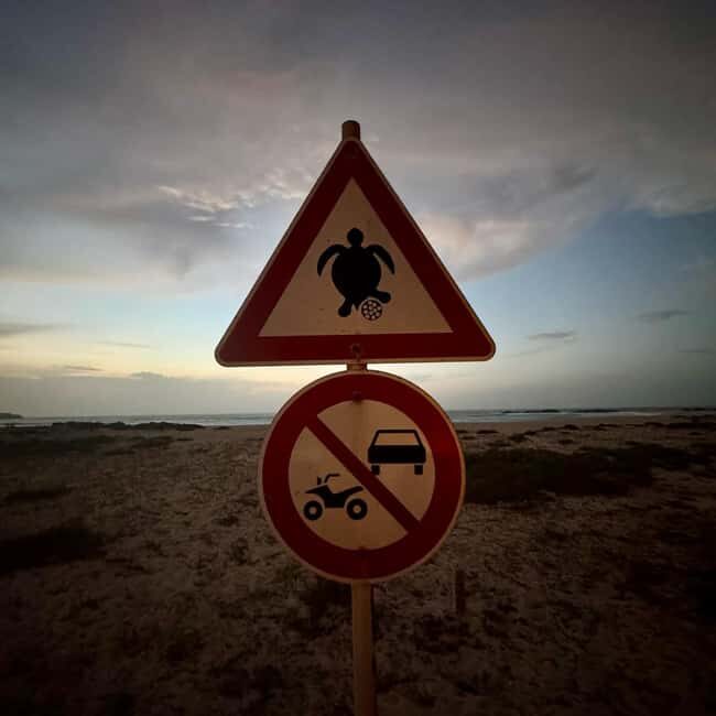 Sal Rei: Boa Vista Private Island Half-Day Tour - The Sum Up