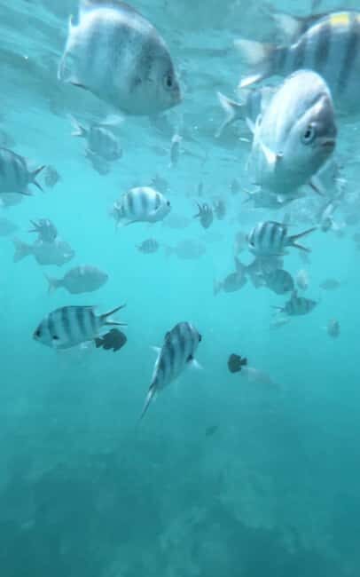Salaam Cave, Starfish Adventure, The Rock Lunch, Kuza Cave - Full Review: What to Expect from This Zanzibar Day Tour