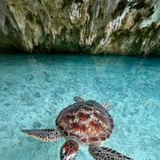 Salaam Cave, Starfish Adventure, The Rock Lunch, Kuza Cave - FAQ