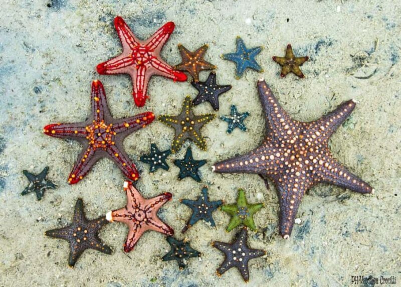 Salaam Cave, Starfish Adventure, The Rock Restaurant - Frequently Asked Questions