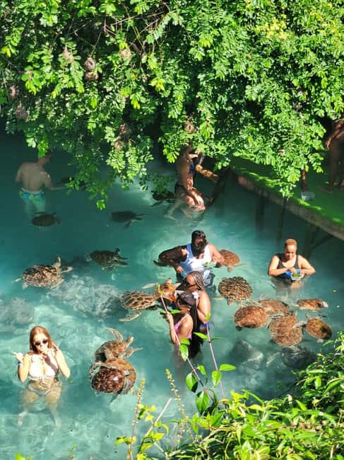 Salaam cave swimming with turtles and Mtende beach - Exploring Mtende Beach: A Quiet Coastal Retreat
