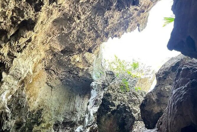 Salaam Cave Zanzibar (Turtles Santuary) - Who Should Consider This Tour?