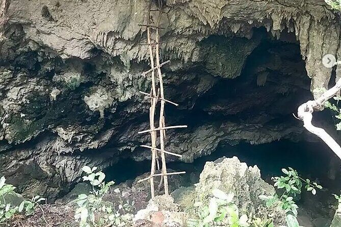 Salaam Cave Zanzibar (Turtles Santuary) - FAQ