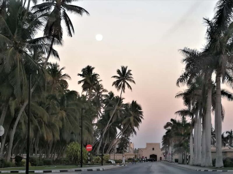 Salalah: City Highlights Tour with Local Guide - Exploring Salalah: What to Expect