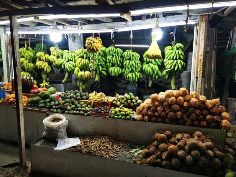 Salalah City Tour - Deep Dive into the Highlights