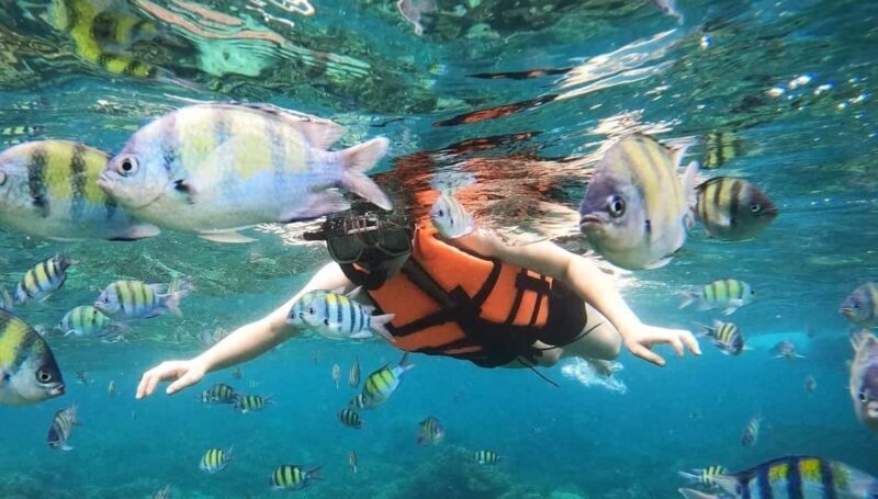 Salalah: Discover Mirbat's Snorkeling Paradise Guided Tour - What Makes Eagle Bay a Snorkelers Paradise?