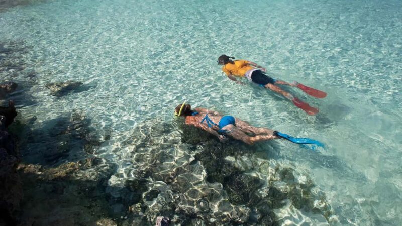 Salalah: Discover Mirbat's Snorkeling Paradise Guided Tour - The Sum Up