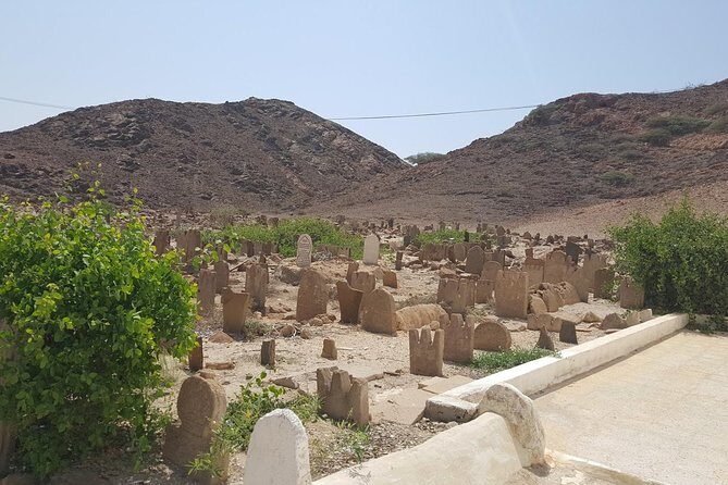 Salalah East & West Combination(Salalah tours):Oman Shore excursions - What Makes This Tour Stand Out?