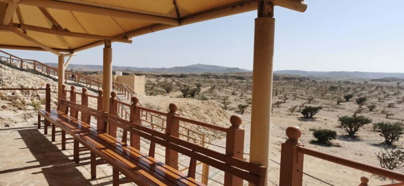 Salalah: Empty Quarter Desert Sunset Tour - Transportation and Logistics
