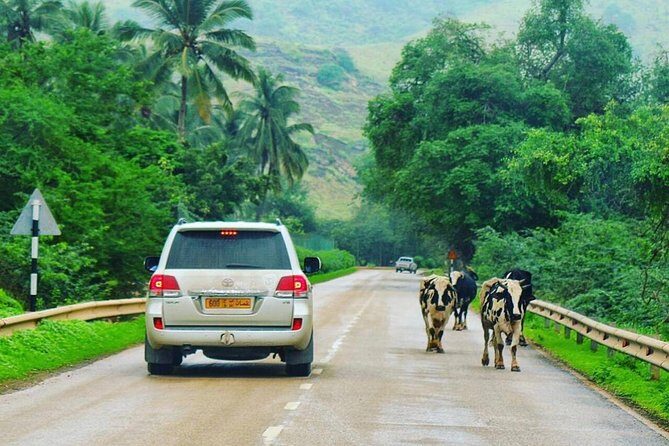 Salalah Mountain Safari Tour 2(Full Day Tour) - A Practical Look at the Salalah Mountain Safari Tour 2