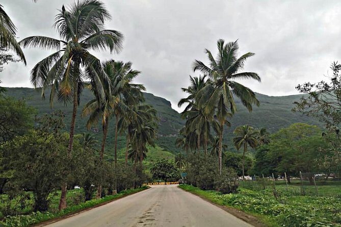 Salalah Mountain Safari Tour 2(Full Day Tour) - FAQ