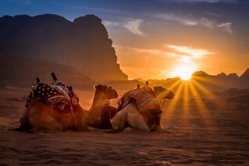 Salalah: Sunset Desert Safari Adventure in Empty Quarter - The Itinerary: What the Experience Looks Like