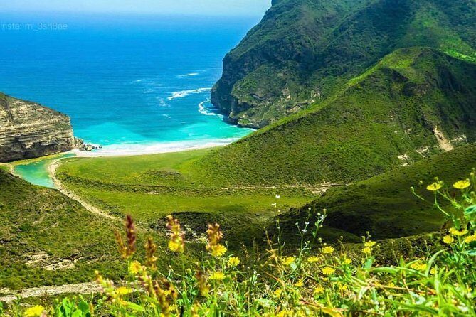 Salalah White Beaches & Panoramic Views of sea (Full Day Tour) - An Overview of the Tour Experience