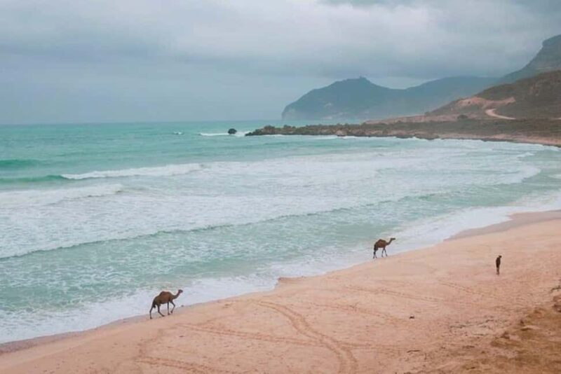 Salalah:Fazayah Beach of the Indian Ocean and Mughsail Beach - Key Points