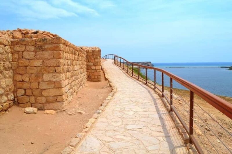 Salalah's Hidden Gems: East & West Adventure - Authentic Experiences and Traveler Feedback
