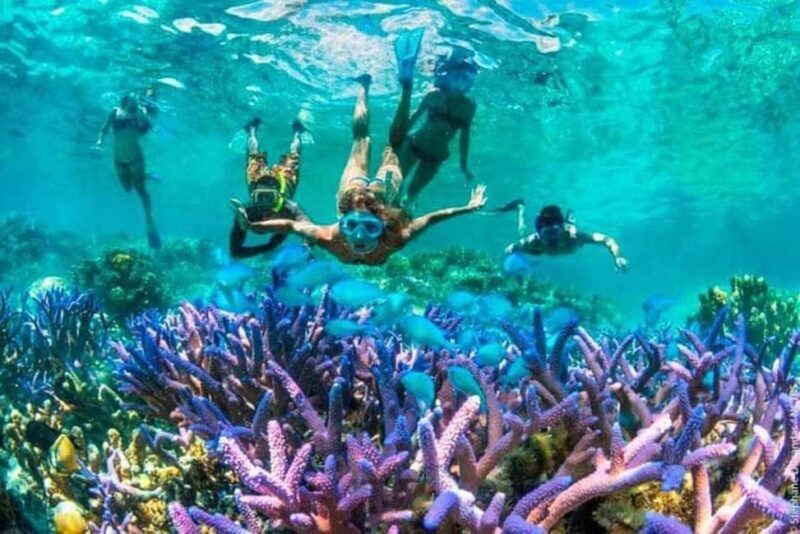 Salam Cave, Blue Lagon, Starfish Beach & The Rock Restaurant - Pricing and Value