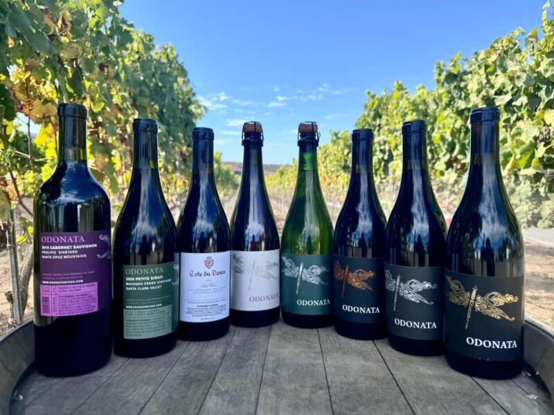 Salinas Valley, CA: Wine tasting experience - Exploring the Salinas Valley Wine Tasting Experience at Odonata Wines
