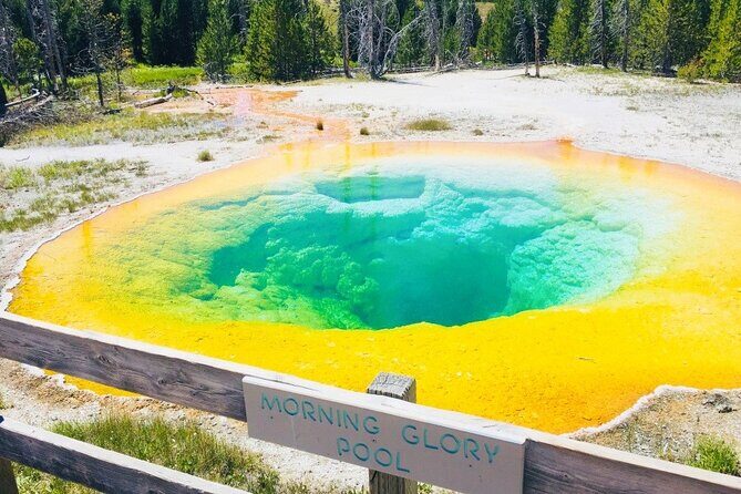 Salt Lake City to Yellowstone and Mt Rushmore 4 Day Tour - Exploring the Salt Lake City to Yellowstone and Mt Rushmore 4-Day Tour