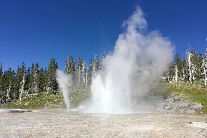Salt Lake City to Yellowstone and Mt Rushmore 4 Day Tour - The Sum Up