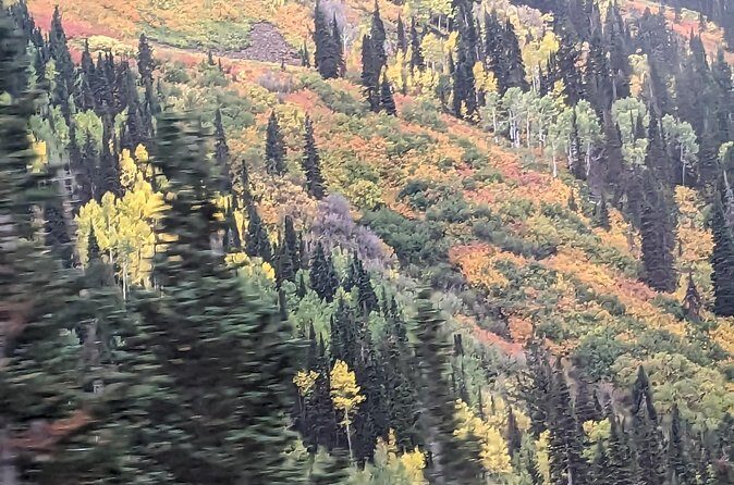 Salt Lake City's Top Guided Hiking Tour with Charcuterie board - The Sum Up