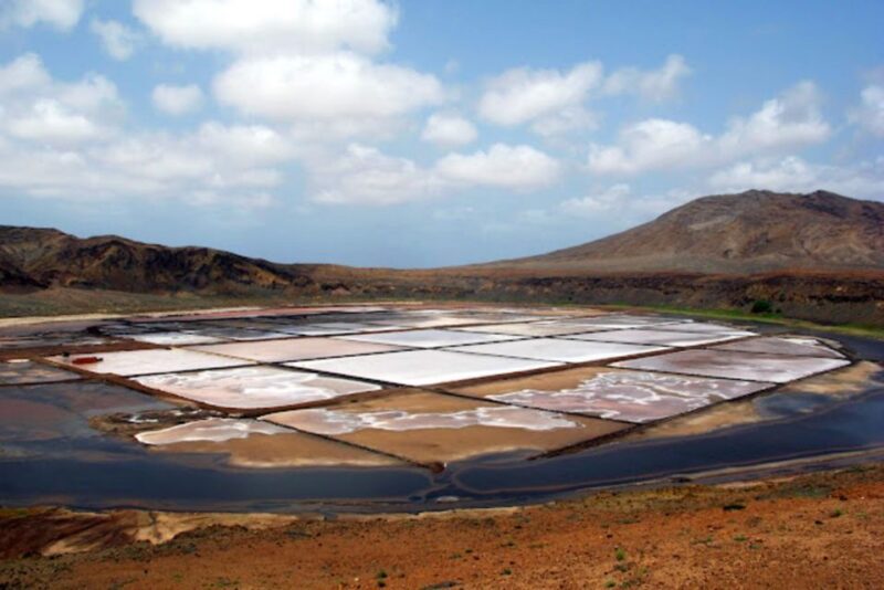 Salt Pans & Lemon Sharks Experience - Who Will Love This Tour?