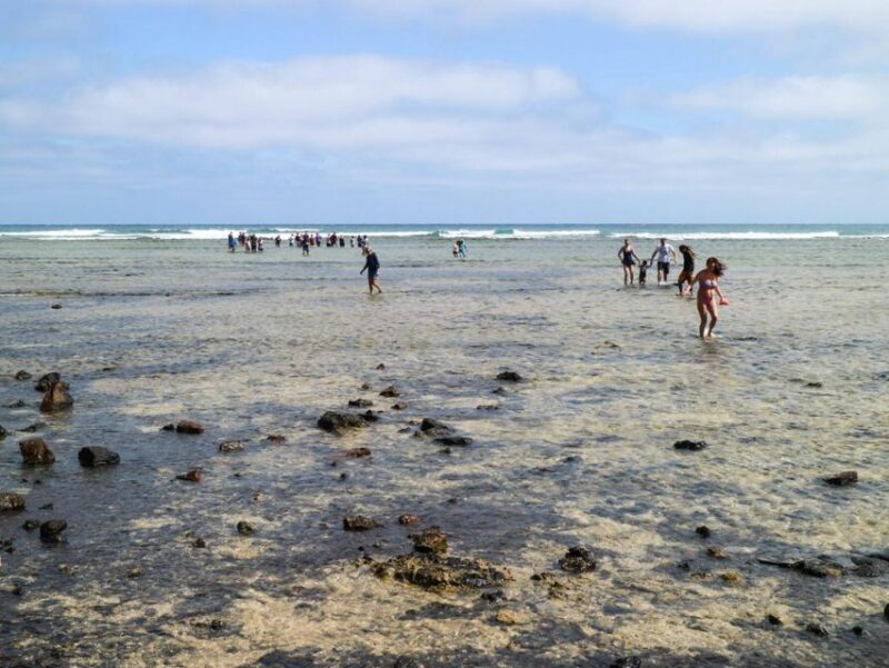 Salt Pans & Lemon Sharks Experience - FAQ