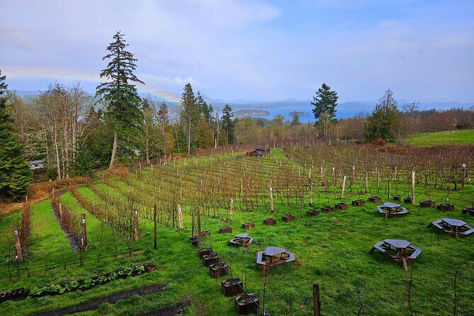 Salt Spring Island "Artisan Trail" Hop On Hop Off Tour! - The Sum Up