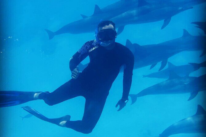 Samadai Dolphin House Snorkel Trip - Marsa Alam - Frequently Asked Questions