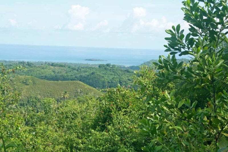 Samaná: El Limón Waterfall Horseback Riding Tour - The Sum Up
