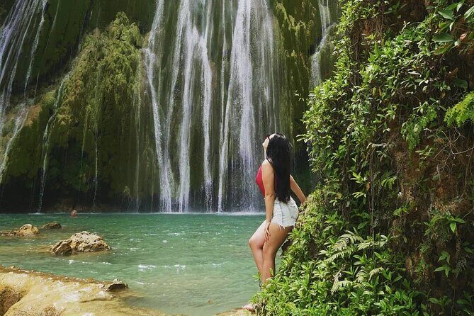 Samaná Experience Whale The Lemon Waterfall & Bacardi Island - Highlights and Authentic Moments