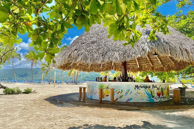 Samana from Punta Cana - Full Day - Transportation, Timing, and Logistics