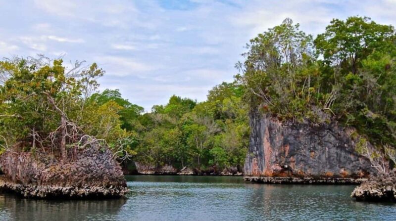 Samana: Los Haitises National Park & Caño Hondo Day Tour - Key Points