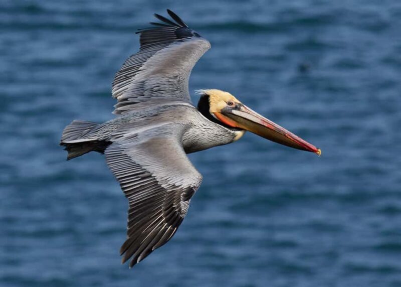 Samaná: Los Haitises National Park & Cayo Levantado Island - What Travelers Say
