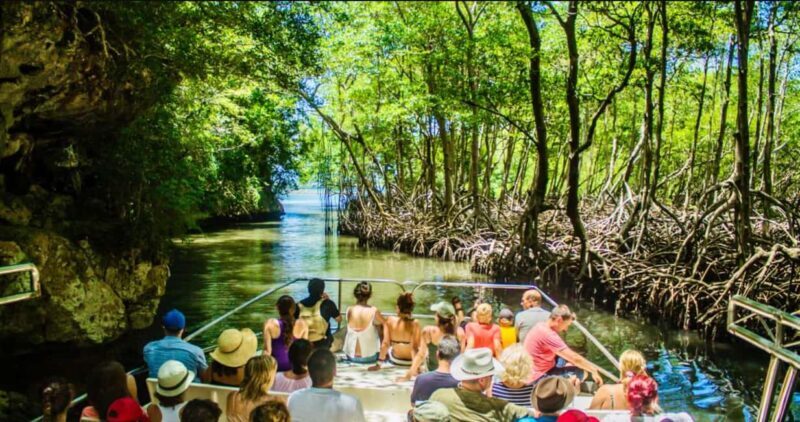 Samana: Los Haitises National Park & Cayo Levantado Tour - Practical Tips for Travelers