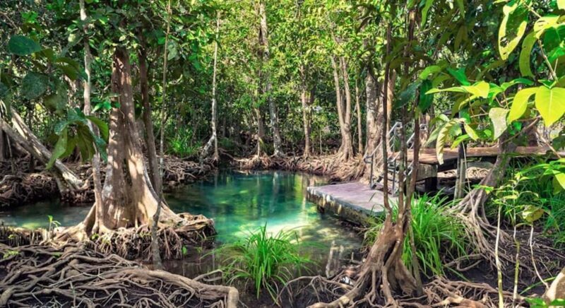 Samana: Visit Samana, Los Haitises Park, and Cayo Levantado Island - FAQ