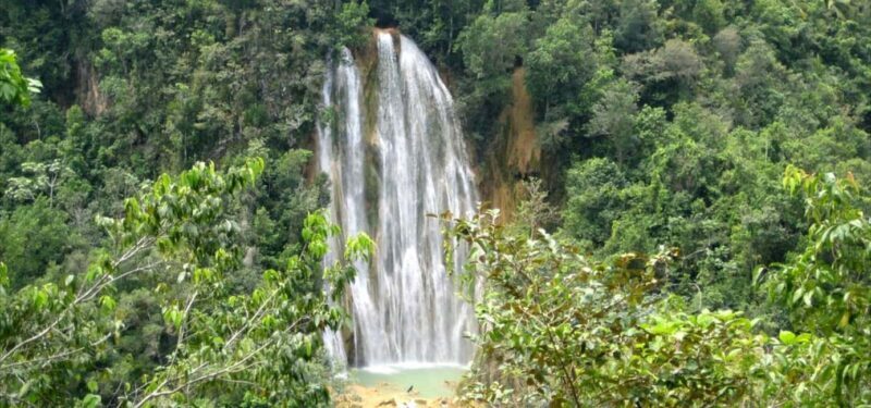 Samana Whale watching and Bacardi Island from Punta Cana - Authenticity and Value