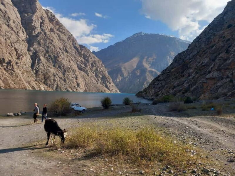 Samarkand: Seven Lakes of the Fann Mountains Day Trip - Key Points