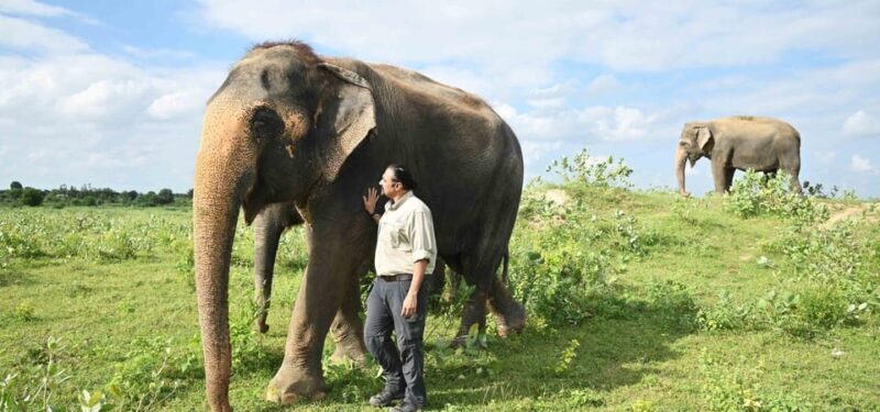 Same day Taj mahal & Agra Fort Tour with Elephant Sanctuary - Practical Insights and Tips