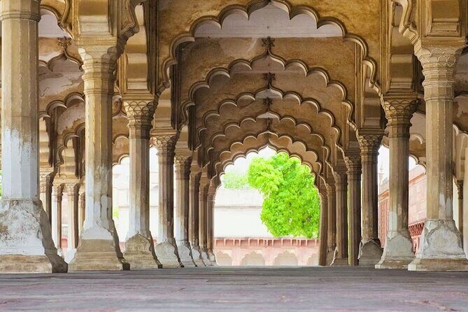 Same Day Taj Mahal Tour By Car From Delhi - Arrival and the Taj Mahal
