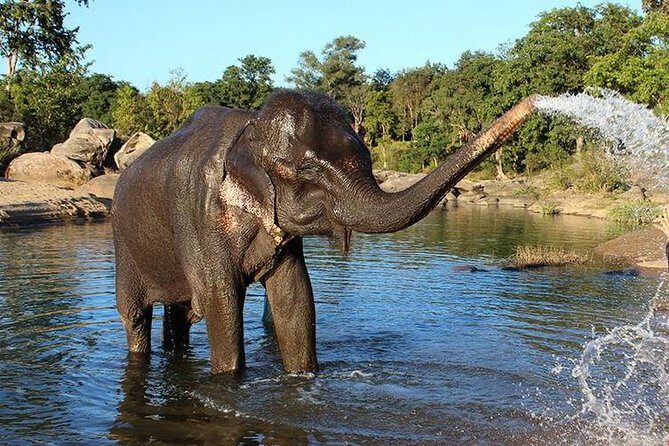 Same Day Tajmahal at Sunrise and SOS wildlife sanctuary tour - Is This Tour Worth It?