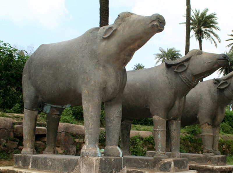 Same Day Tour Of Mount Abu From Udaipur - Final Thoughts