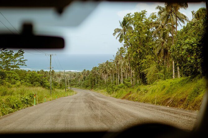 Samoa Apia: Cruise Ship Shore Excursion - Who Should Consider This Tour?