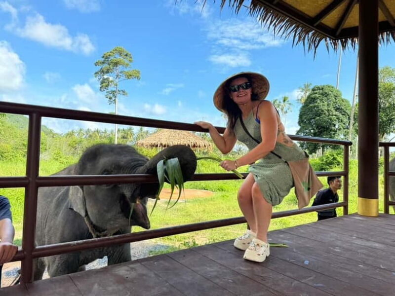 Samui: Elephant Home Sanctuary and the first elephant museum - FAQs