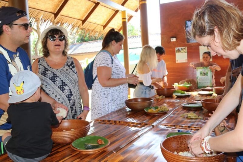 Samui: Feeding Program at the Elephant Home Nursery - The Sum Up